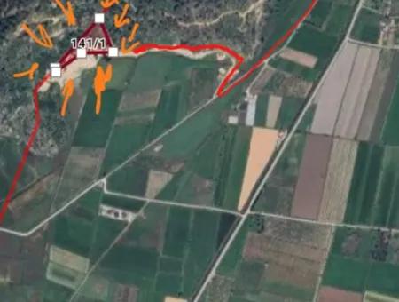 12.466M2 Olive Property For Sale From Cesur Real Estate Close To Sarigerme Road In Güzelyurt