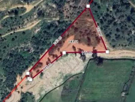 12.466M2 Olive Property For Sale From Cesur Real Estate Close To Sarigerme Road In Güzelyurt