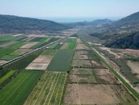 719M2 Land For Sale From Cesur Real Estate Güzelyurt Ortaca Sarıgerme Road Frontage