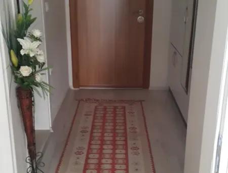 1 1 Furnished Apartment With Terrace For Rent In Merkezref.code:6947