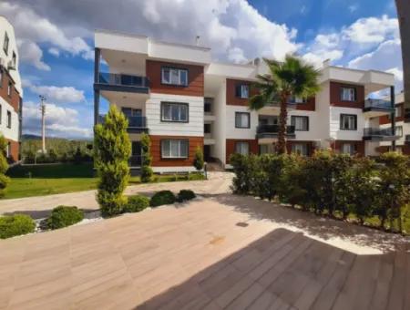 2 1 Flat For Sale In Altintas Mevkýi Pool Site Refcode:5549