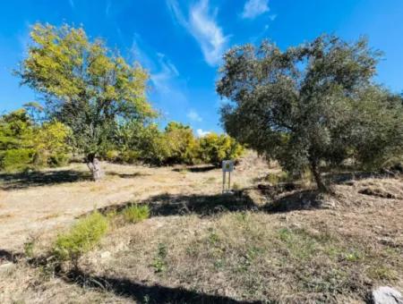 1049M2 Field With Stone House In Dalaman Kapkarg