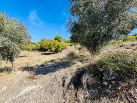 1049M2 Field With Stone House In Dalaman Kapkarg