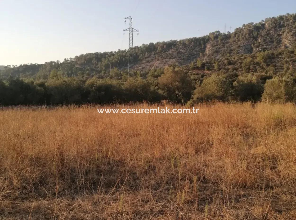 Cesur Emlak'tan Satılık 4147M2 Tarla Ref.kod:gdk838