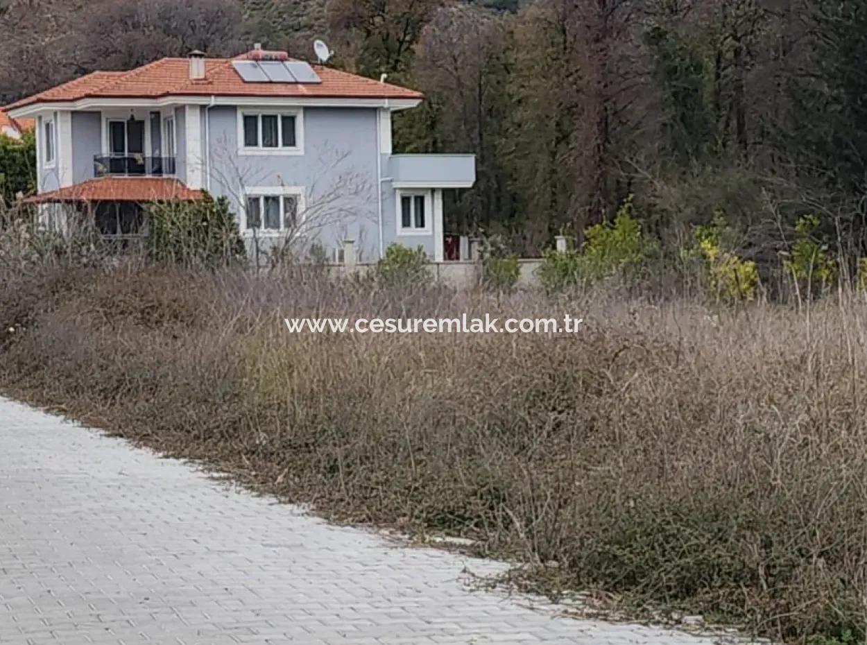 Cesur Emlak'tan Satılık Günlük Orman Manzaralı 403M2 Arsa