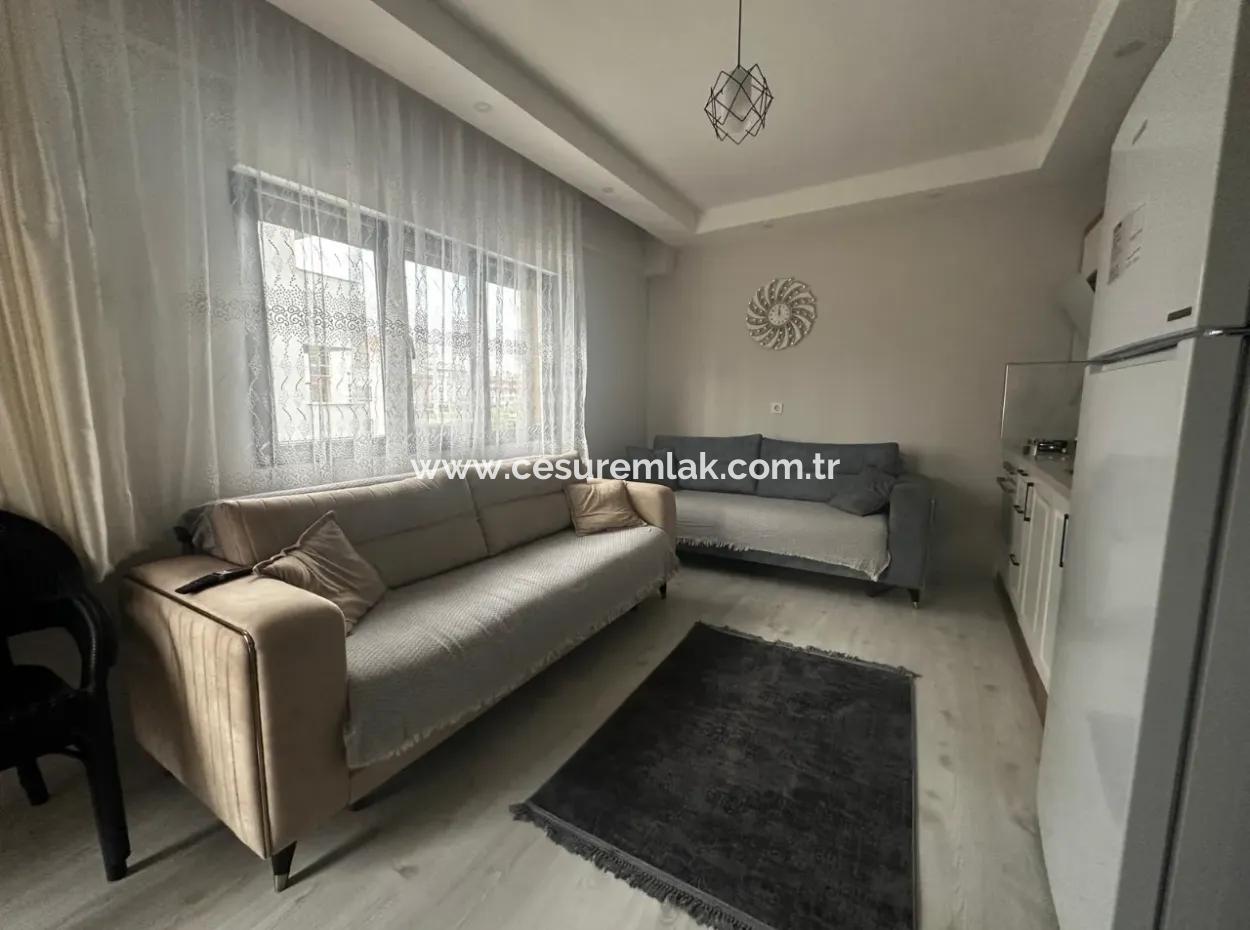 Cesur Emlak'tan Havuzlu 1+1 Satılık Daire Ref.kodu:6740