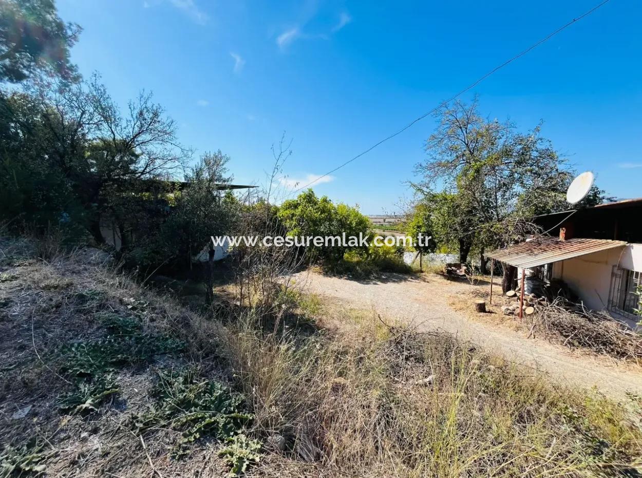 Dalaman Kapıkargında 1049M2 İçinde Taş Evi Bulunan Tarla