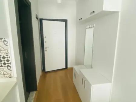 Havuzlu Site İçerisinde Kiralık Eşyalı 1+1 Daire Refkodu:6823