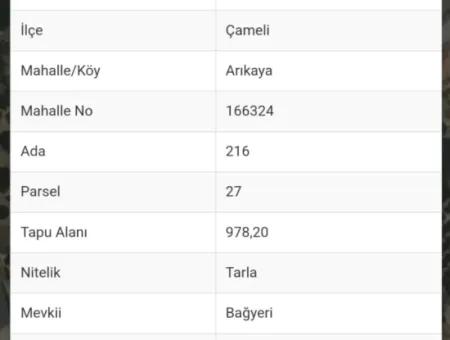 Arıkaya Köy İçinde %25 2 Kat İnşaat İzni Var 978M2 Tektapuparsel