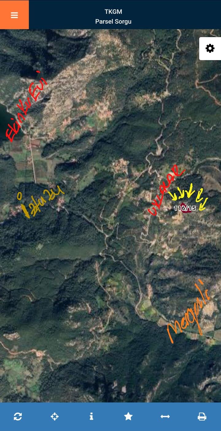 Cesur Emlak'tan Satılık Dalyan Gökbel De 7269M2 Zeytinlik