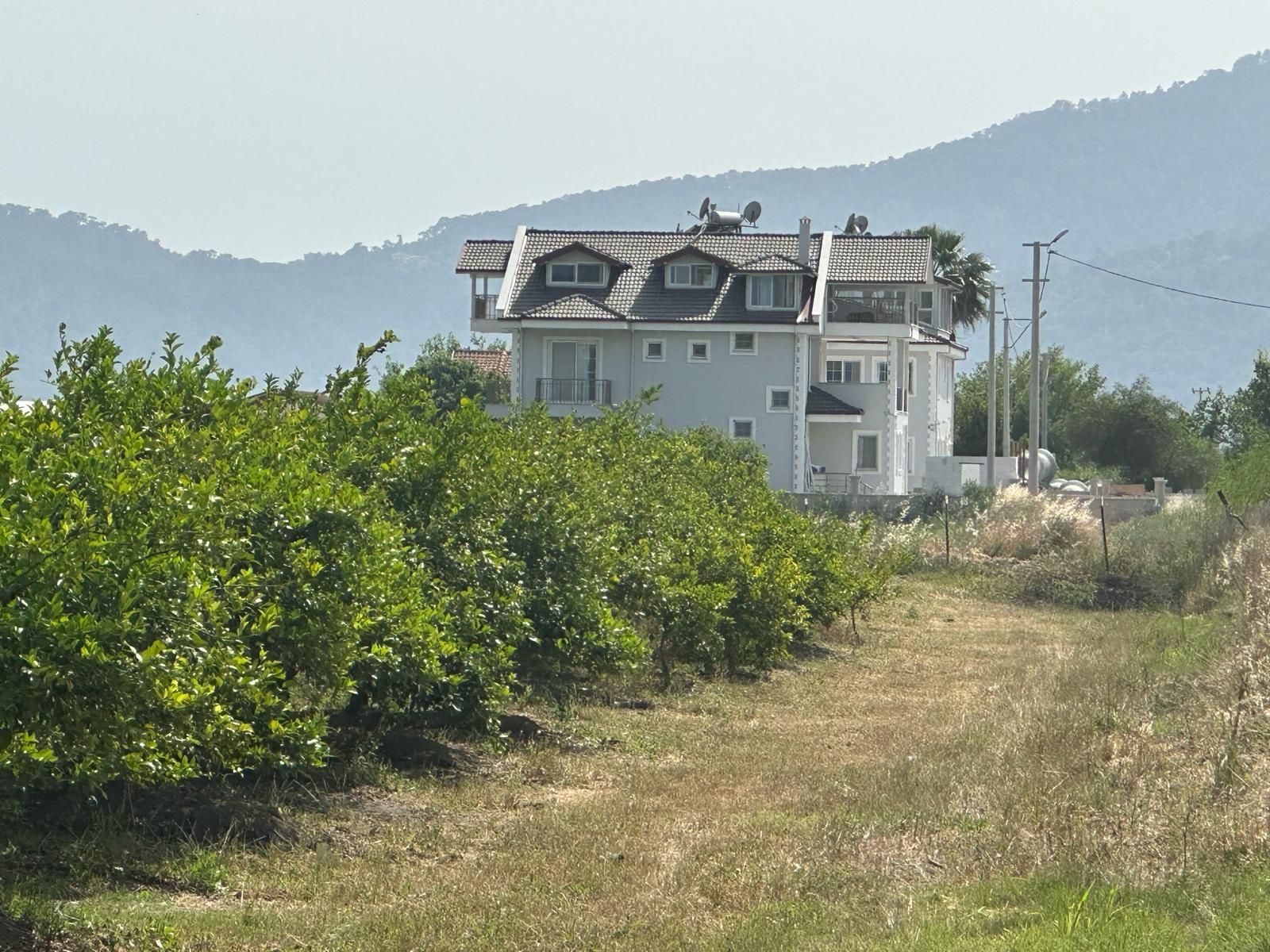 Yıllık Ortalama 100.000 dolar Getirili Dalyan Merkeze 5-6dakika mesafede 25609m2 Satlık Bahçe