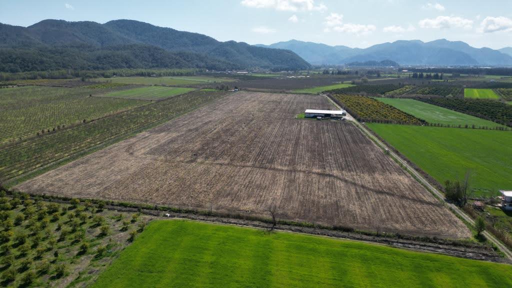 Ortaca Dalyan Tepe Arasında 