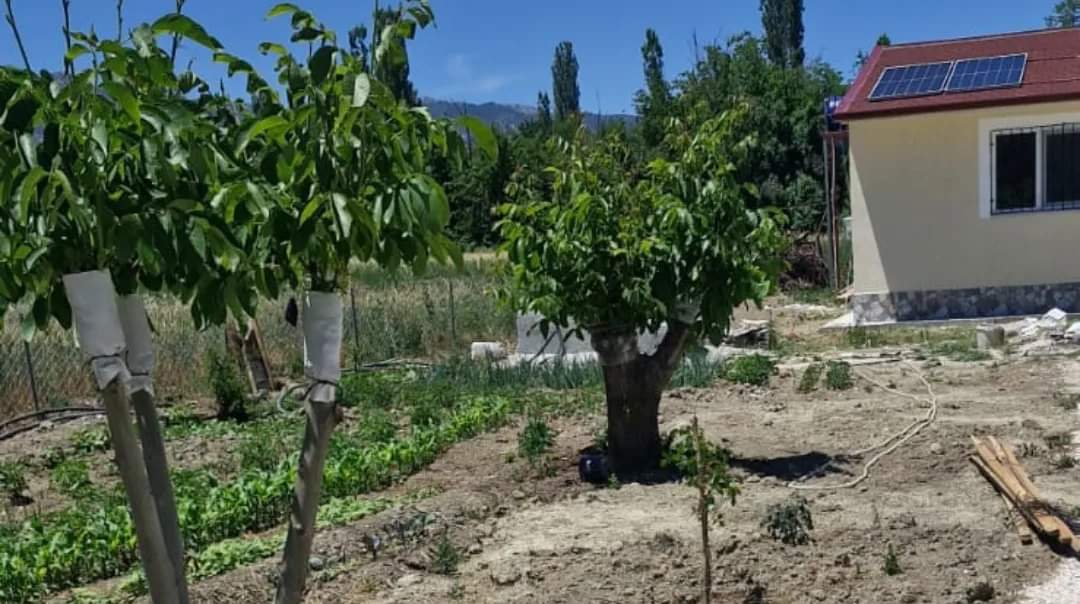 Burdur Gölhisar Armutlu da Satılık Müstakil Ev