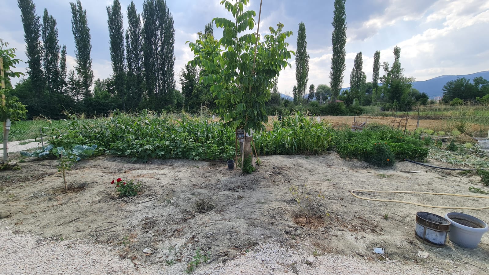 Burdur Gölhisar Armutlu da Satılık Müstakil Ev