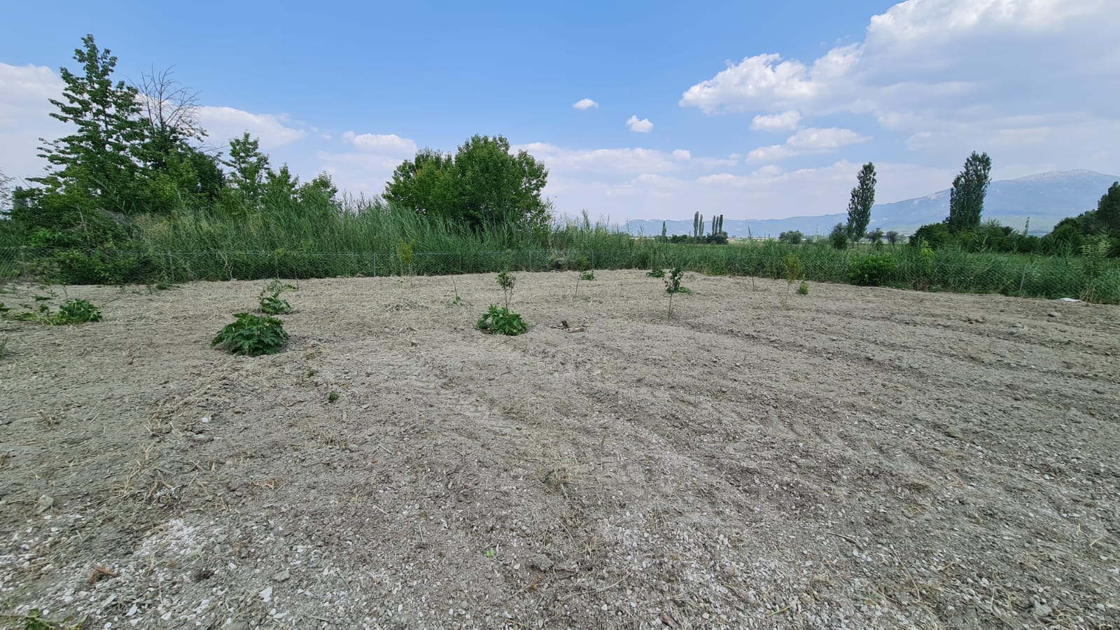 Burdur Gölhisar Armutlu da Satılık Müstakil Ev