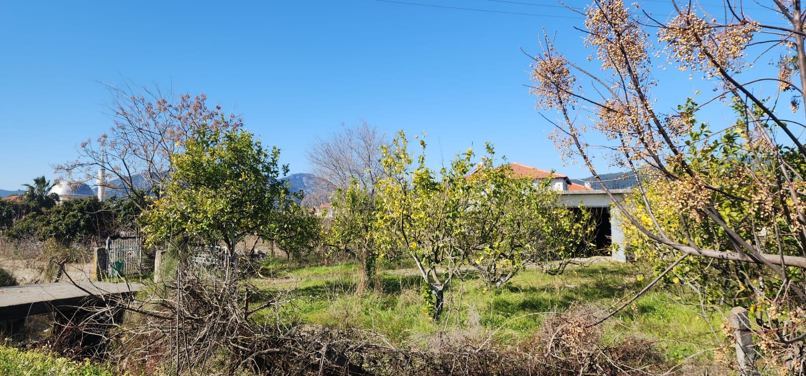 Cesur Emlak'tan Satılık Ortaca Güzelyurtta 1002m2 Arsa Ref.Kodu:SK816