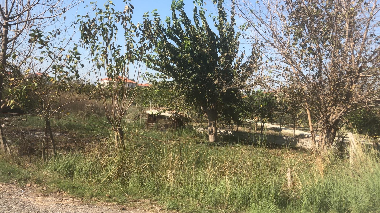 Cesur Emlak'tan Satılık Dalaman Karaçalı da 500m2 Arsa