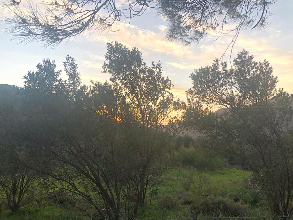 Cesur Emlak'tan Satılık Dalaman Akkaya da 5817m2 Arsa