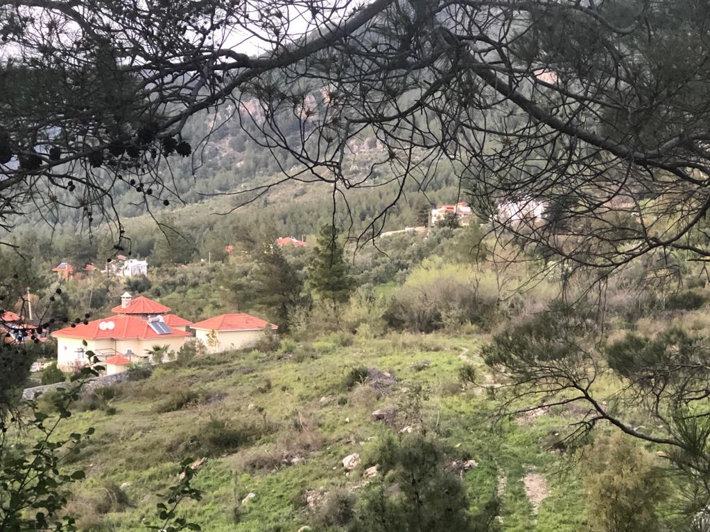 Cesur Emlak'tan Satılık Dalaman Akkaya da 5817m2 Arsa