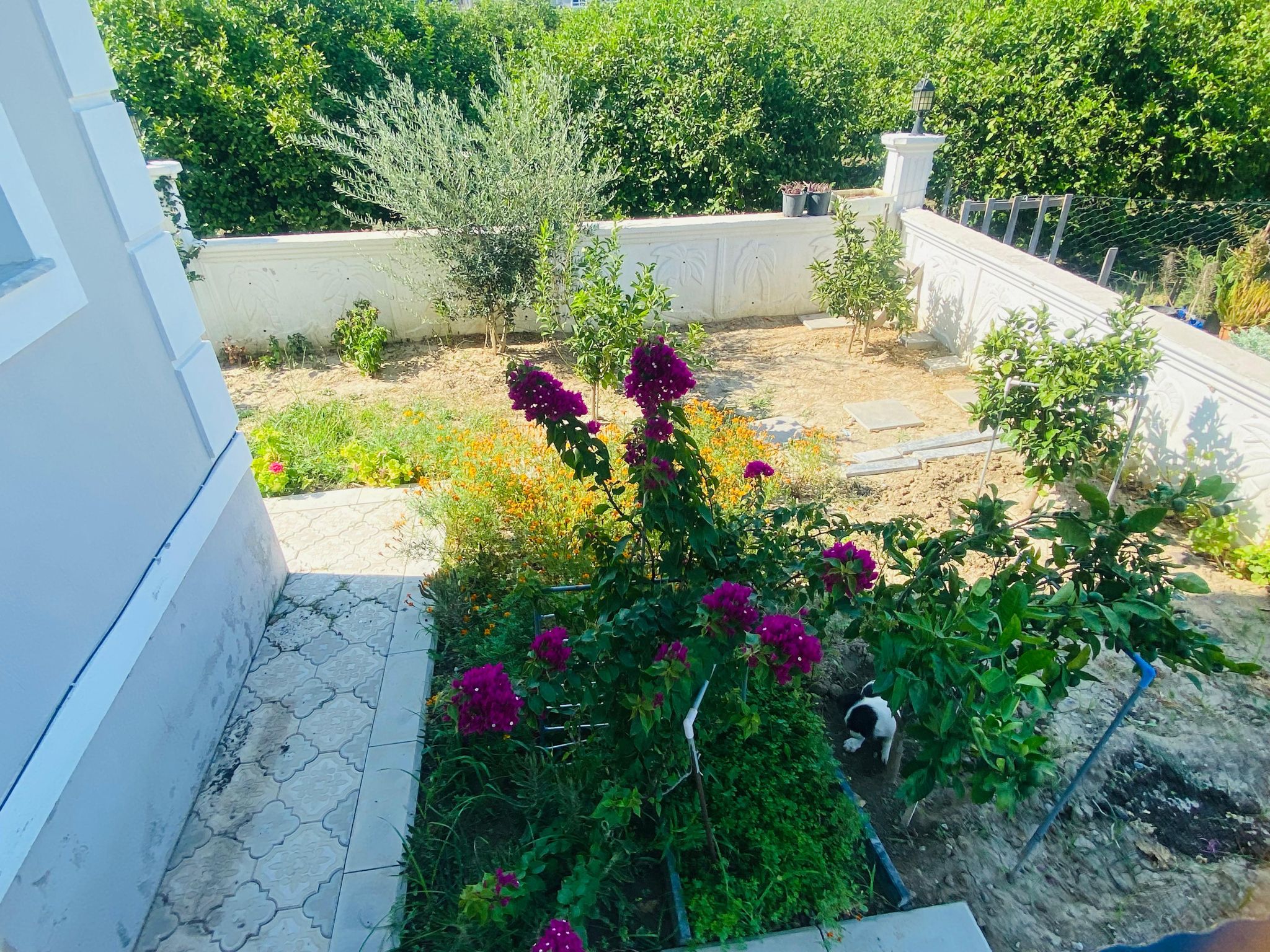 Karaçalı'da Kiralık 2+1 Bahçeli Boş Daire Ref.Kodu:6632