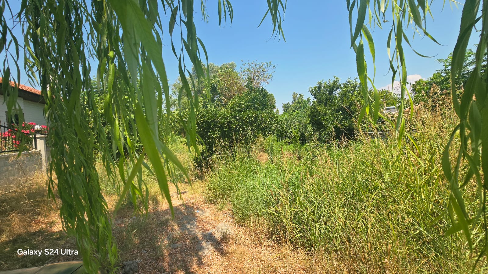 Yola ve Kanala Sıfır Arsa 250 m² İnşaat Hakkıyla Hazır!