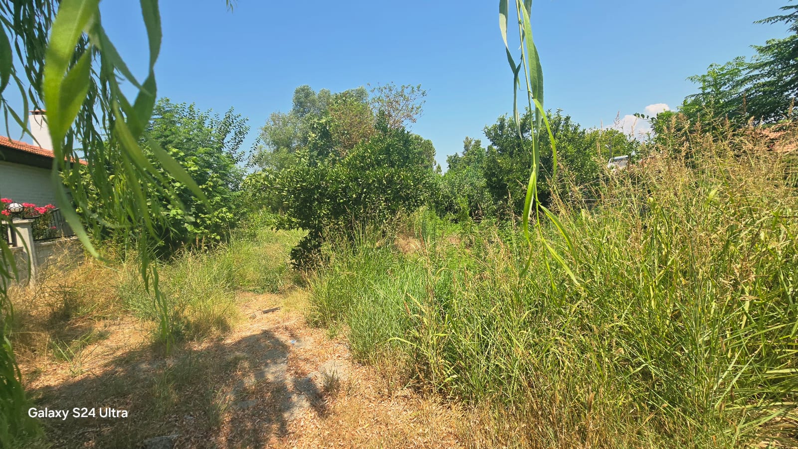 Yola ve Kanala Sıfır Arsa 250 m² İnşaat Hakkıyla Hazır!