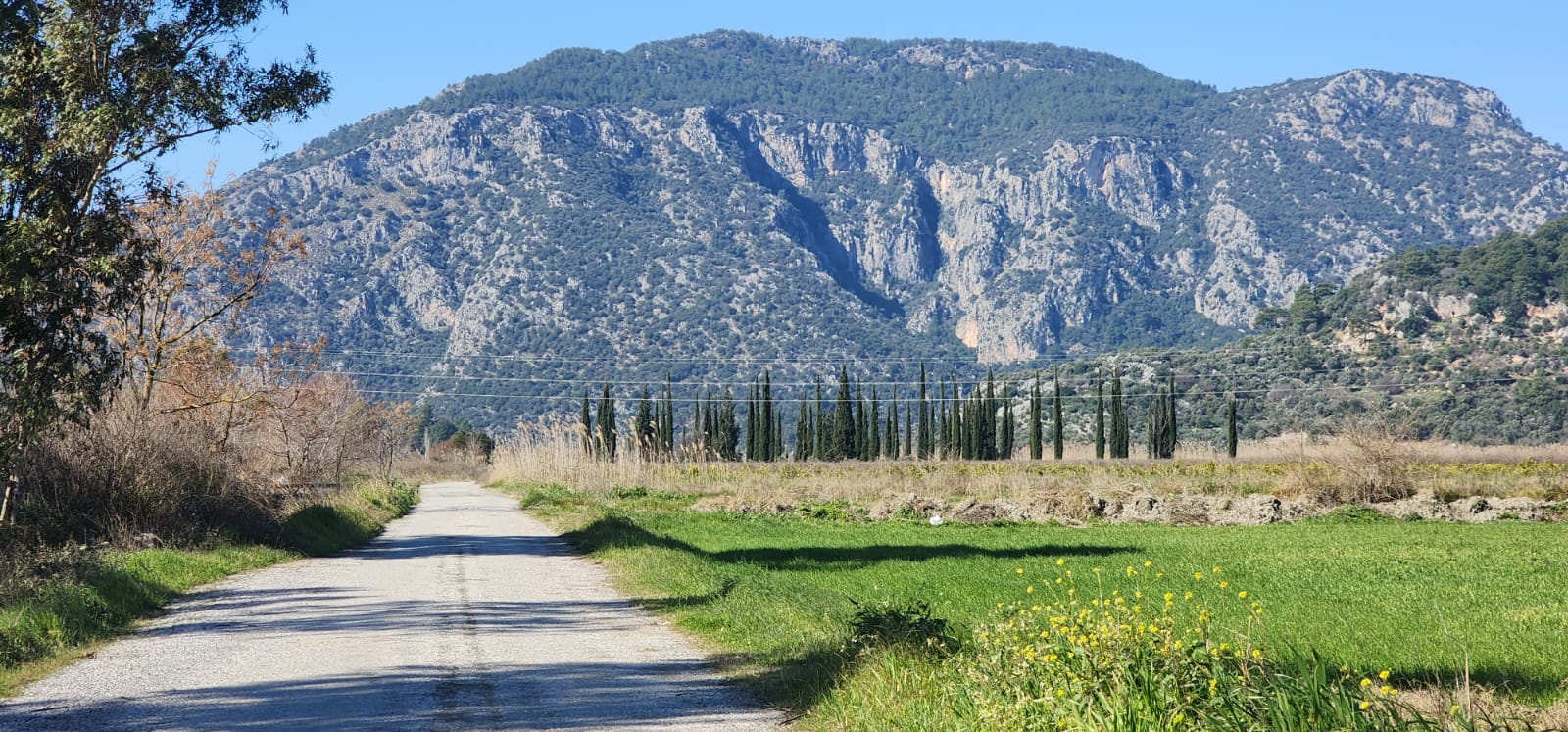 Sarıgerme’ye 5 km, Havalimanına 10 dk – Tarla Fırsatı!