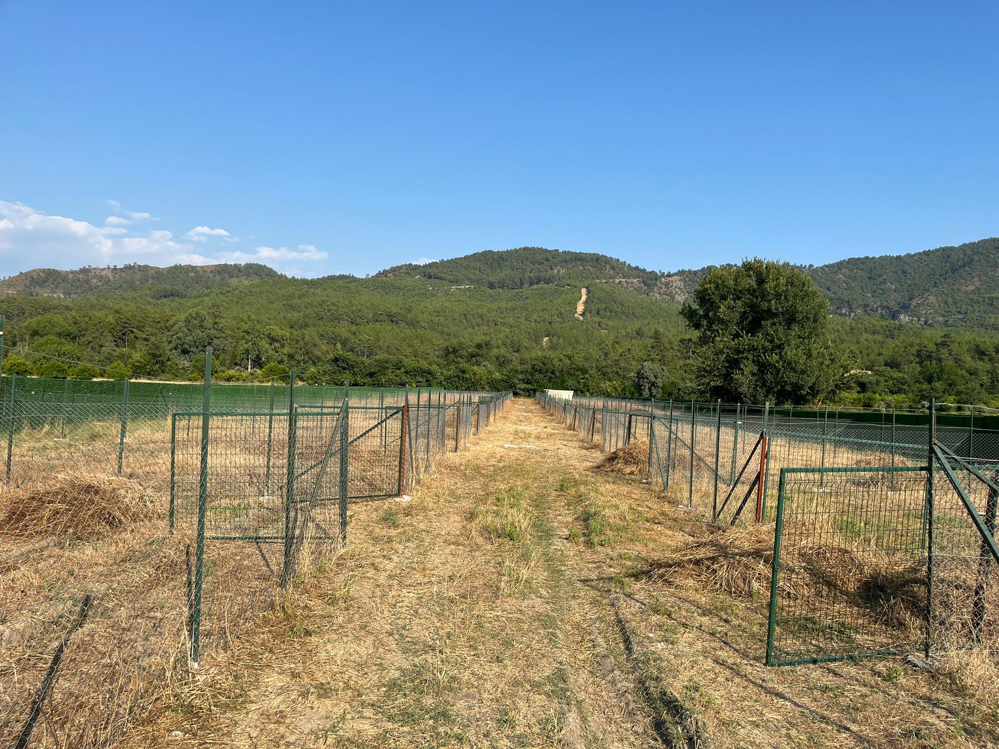 Doğa İle İçİçe 200m2 Satılık Bahçe Elektrik ve Suyu Hazır