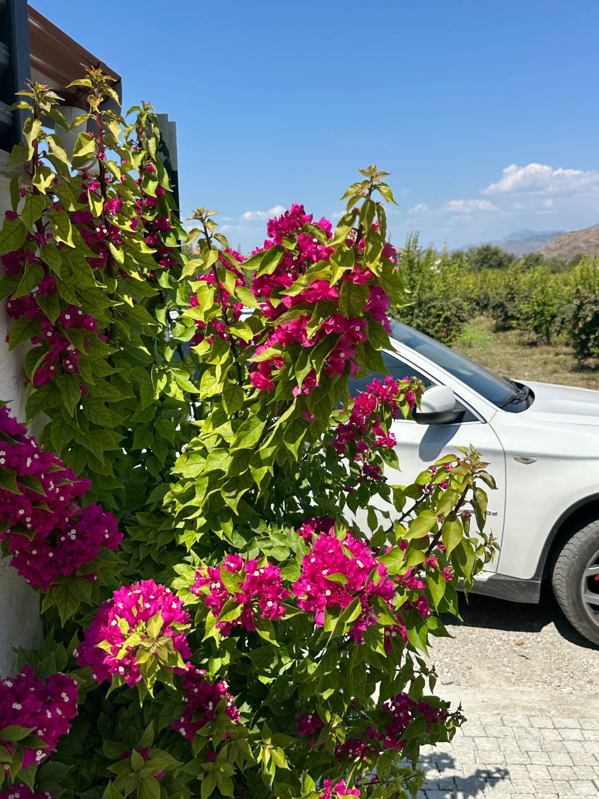 Hem Tatil Evi Hem Kalıcı Yaşam İçin İdeal Villa – Dalaman