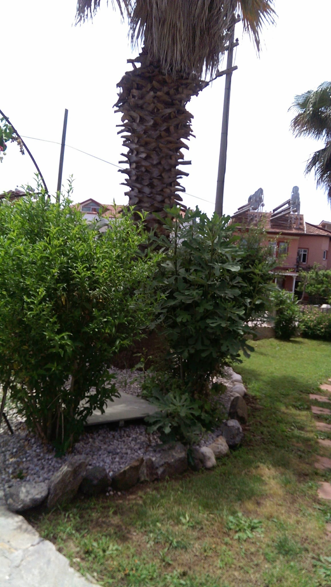 Havuzlu ve Bahçeli Site İçinde Satılık 1+1 Daire – Çalış, Fethiye