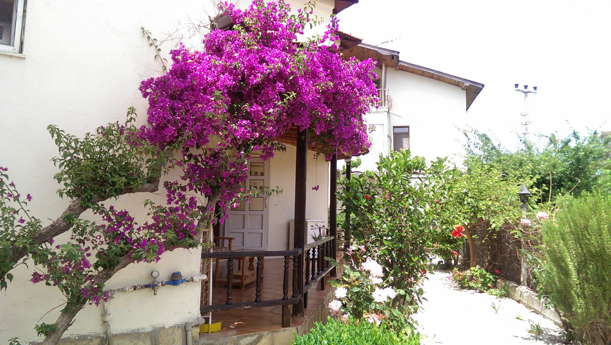 Havuzlu ve Bahçeli Site İçinde Satılık 1+1 Daire – Çalış, Fethiye