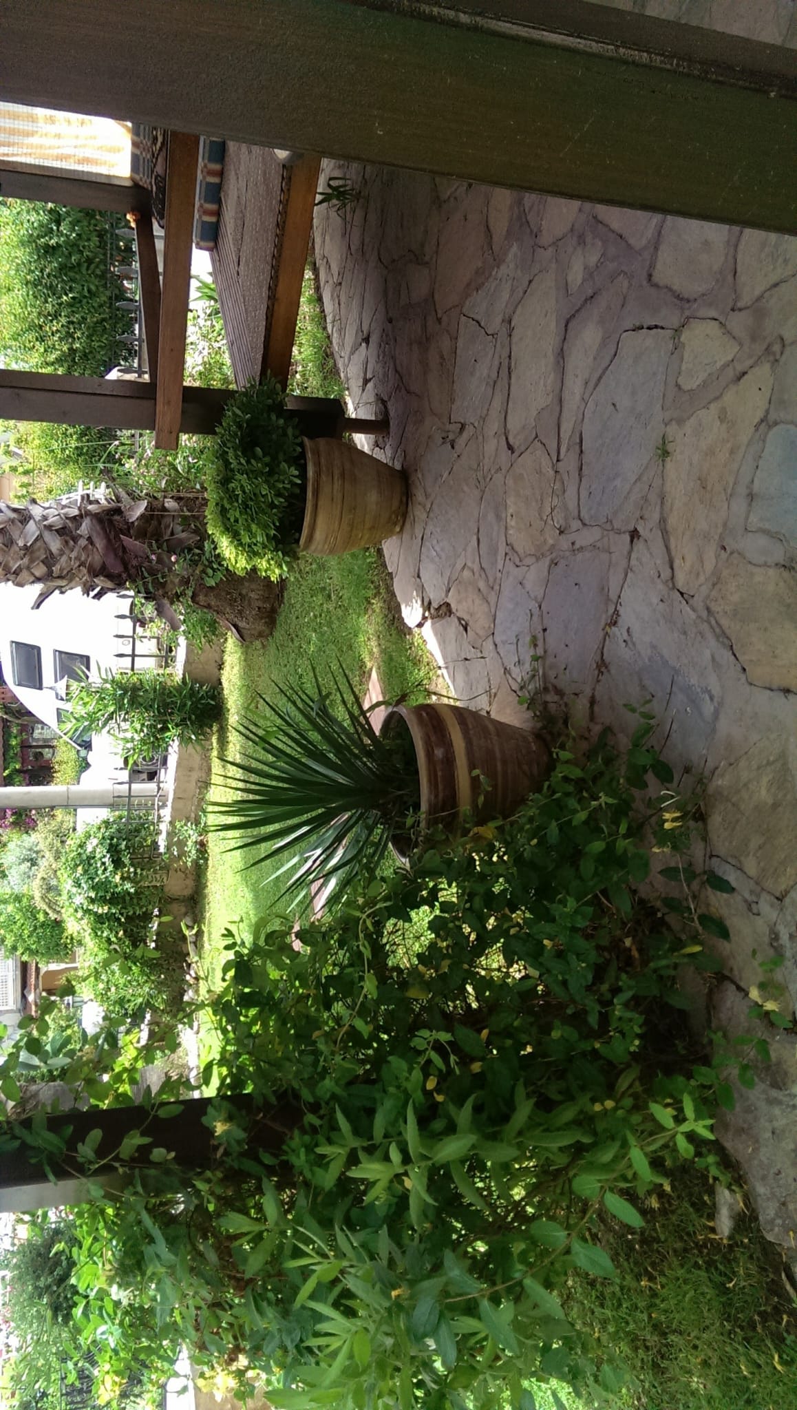 Havuzlu ve Bahçeli Site İçinde Satılık 1+1 Daire – Çalış, Fethiye