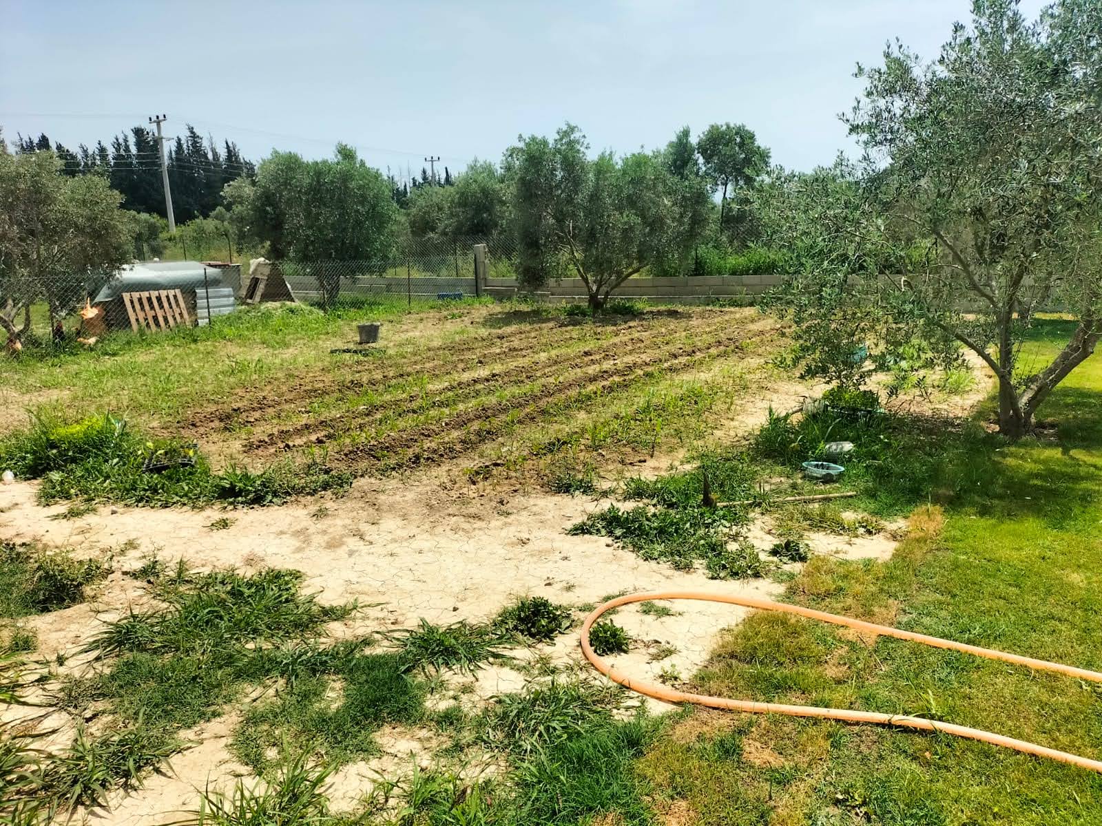 1887m² Arsada, 250m² Kullanımlı Özel Havuzlu Satılık Villa – Ortaca Fevziye 