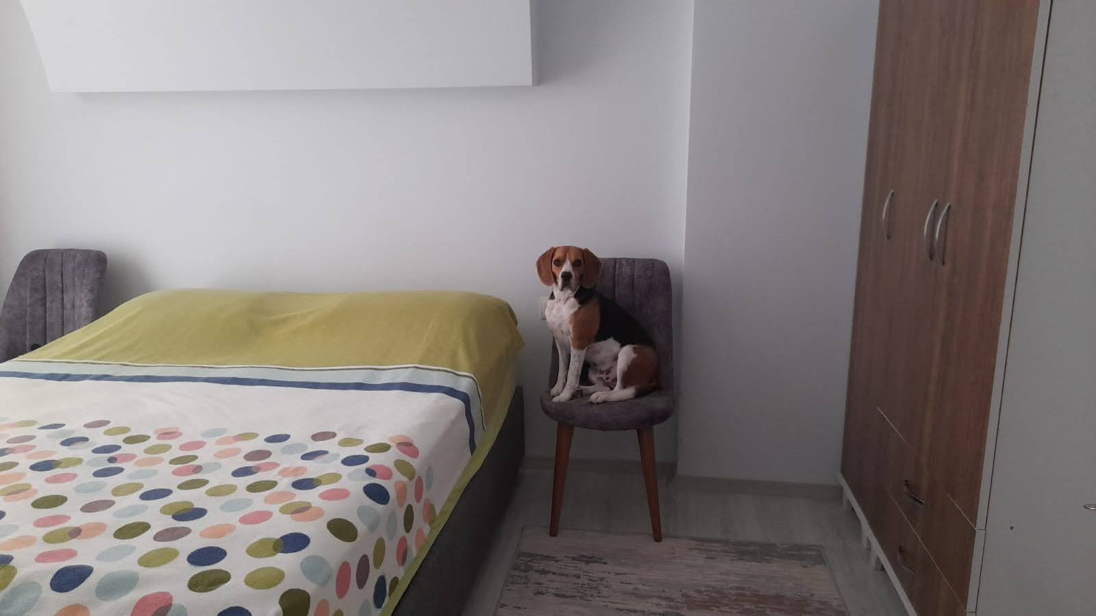 Özel Bahçeli Kapalı Mutfaklı Satılık 2+1 Daire Ref.Kodu:4940